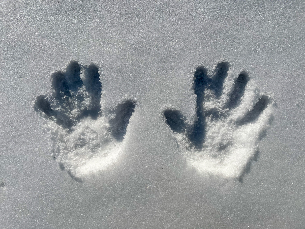 Hand Prints on Snow